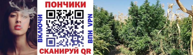 Купить Бологое А ПВП  МЕФ  КОКАИН 