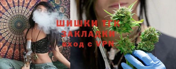 spice Медногорск