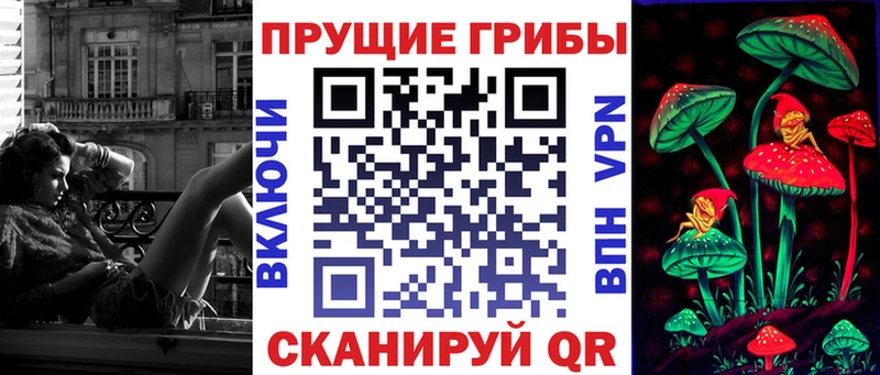 где найти   Бологое  Галлюциногенные грибы Magic Shrooms 